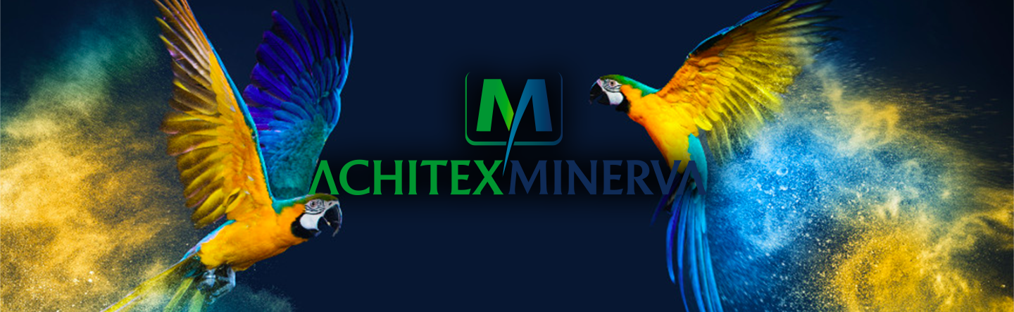 achitex-minerva-slide